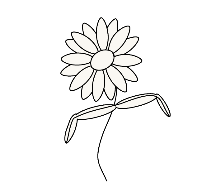 Cách Vẽ Hoa Cúc - Bluesunmedia